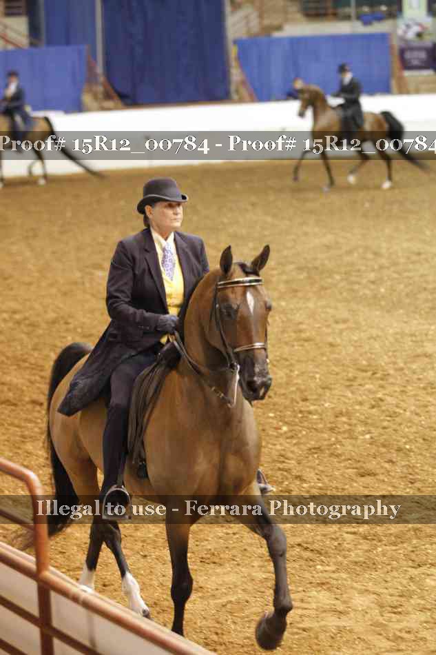 Proof 15R12_00784