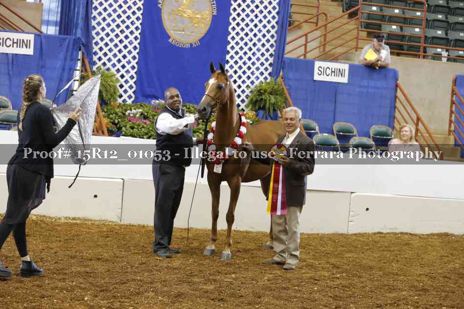 Proof 15R12_01053