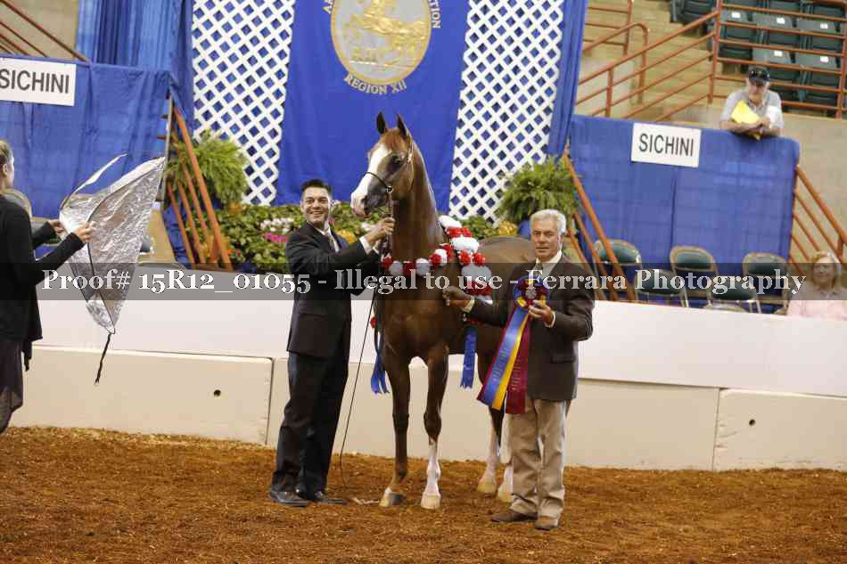 Proof 15R12_01055