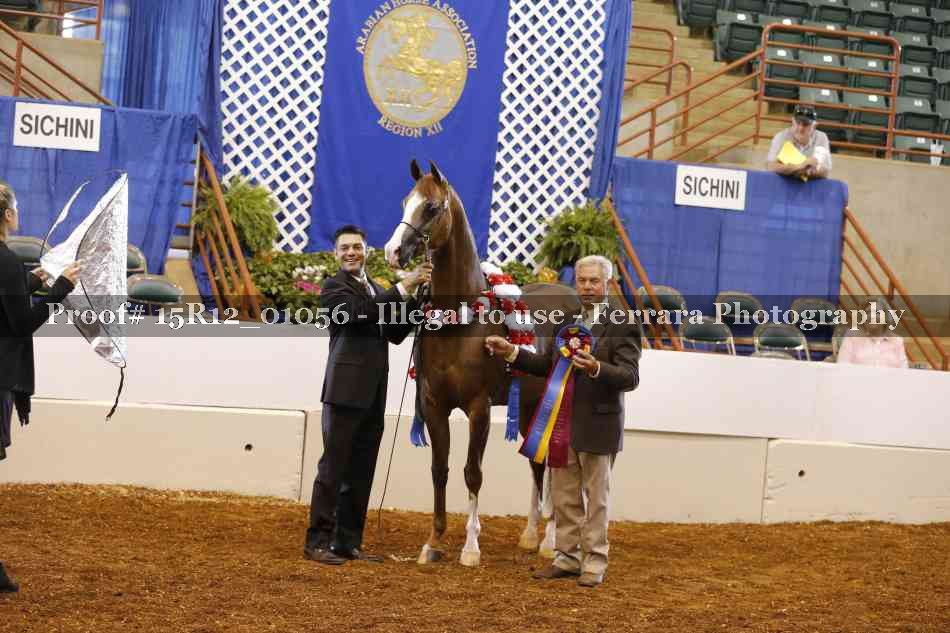 Proof 15R12_01056