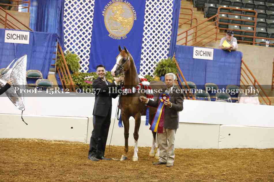Proof 15R12_01057