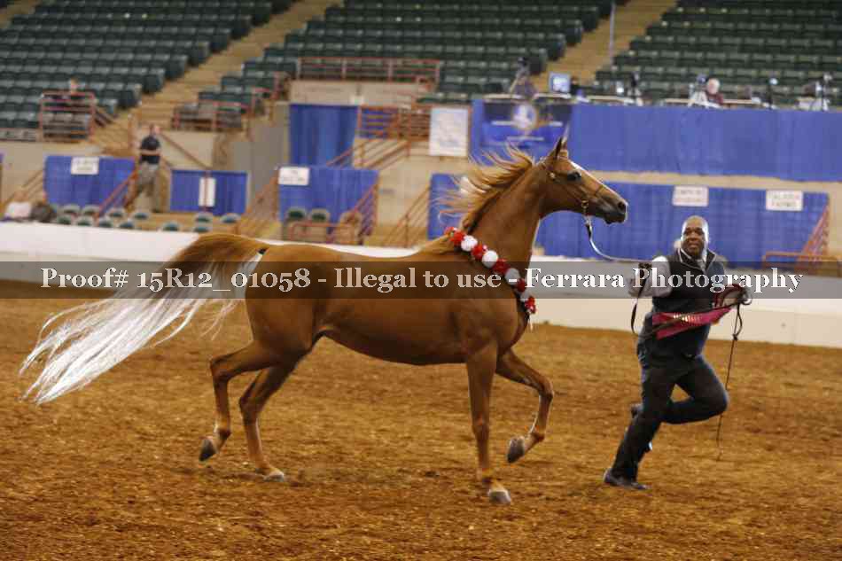 Proof 15R12_01058