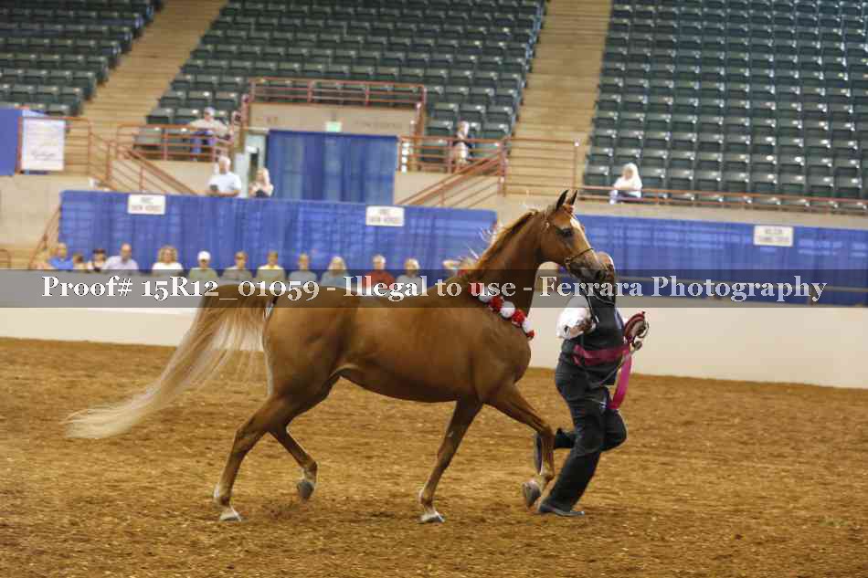 Proof 15R12_01059