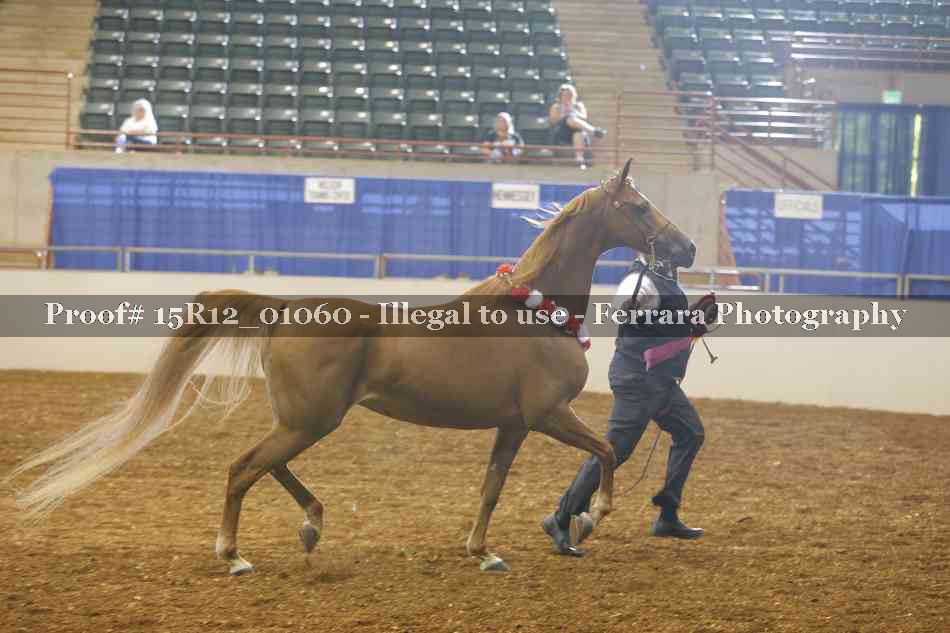 Proof 15R12_01060