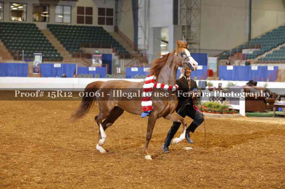 Proof 15R12_01061