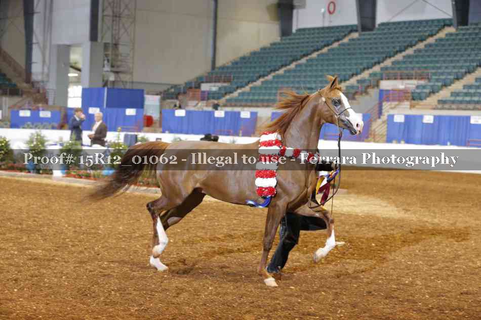 Proof 15R12_01062