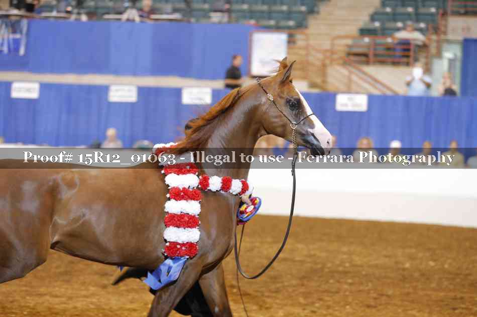Proof 15R12_01063