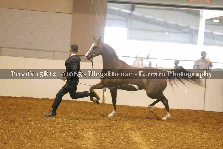 Proof 15R12_01065