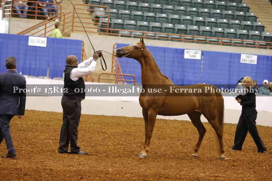 Proof 15R12_01066