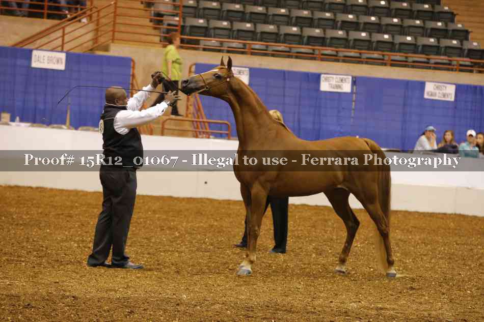 Proof 15R12_01067