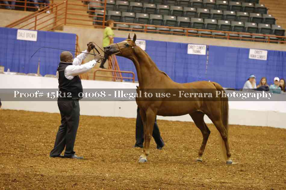Proof 15R12_01068