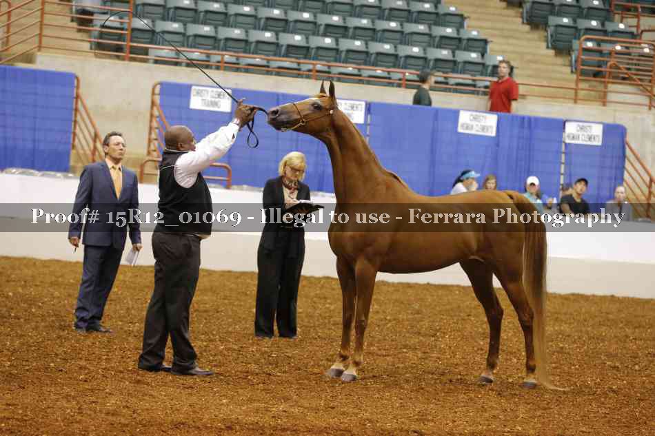 Proof 15R12_01069