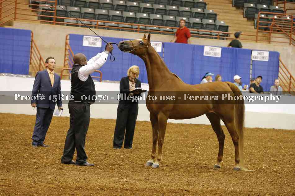 Proof 15R12_01070