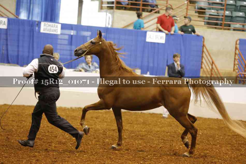 Proof 15R12_01071