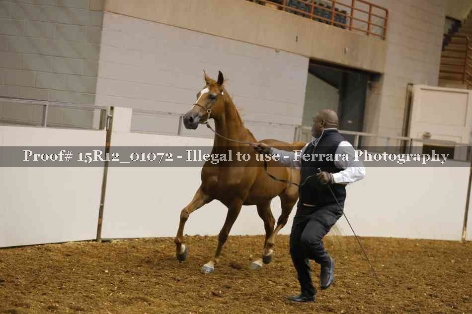 Proof 15R12_01072