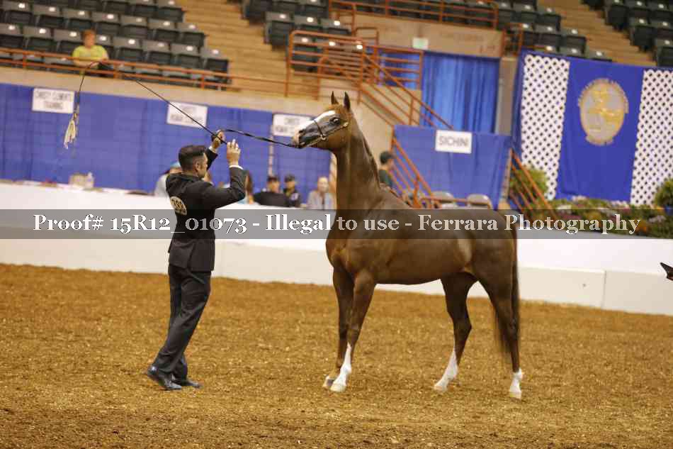 Proof 15R12_01073