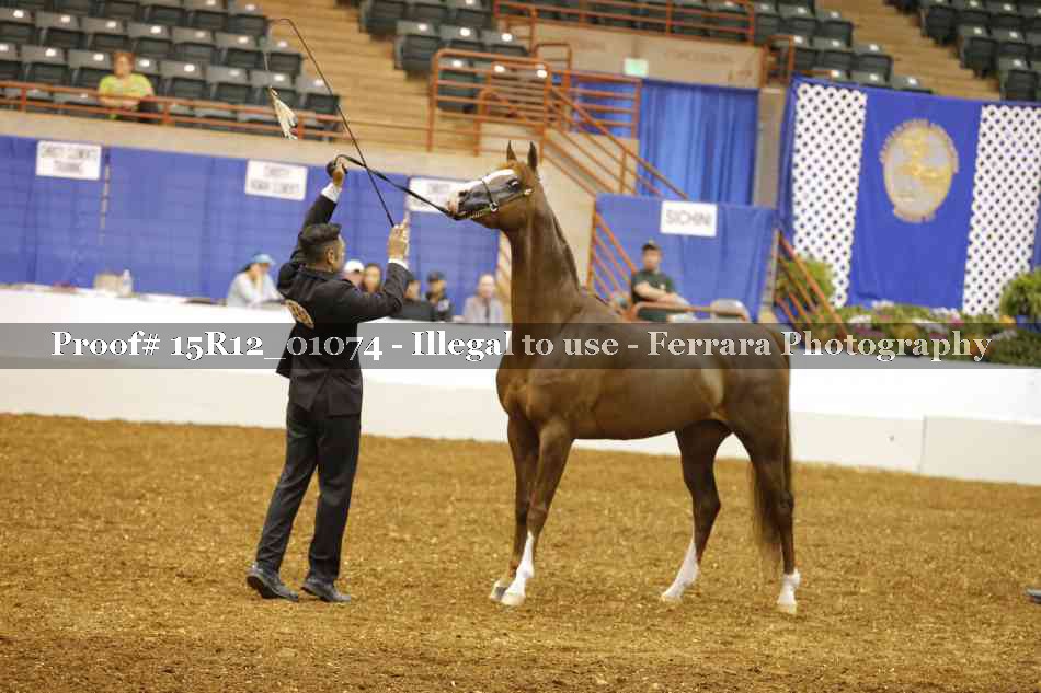 Proof 15R12_01074