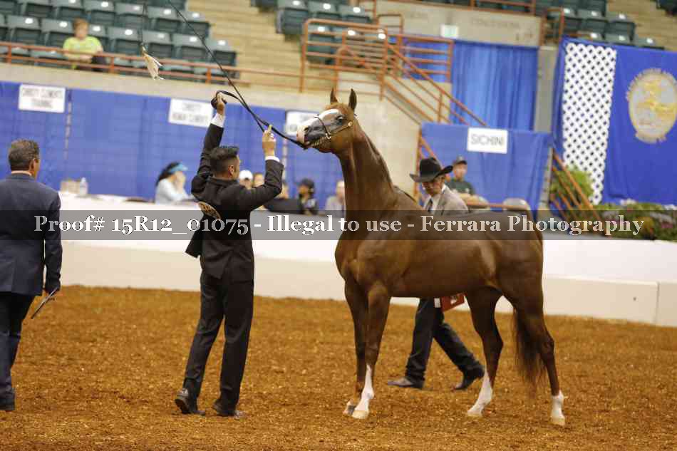 Proof 15R12_01075