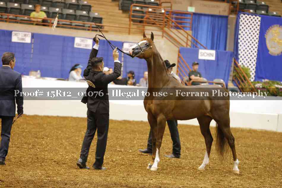 Proof 15R12_01076