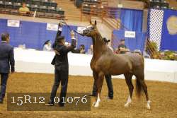 15R12_01076 proof