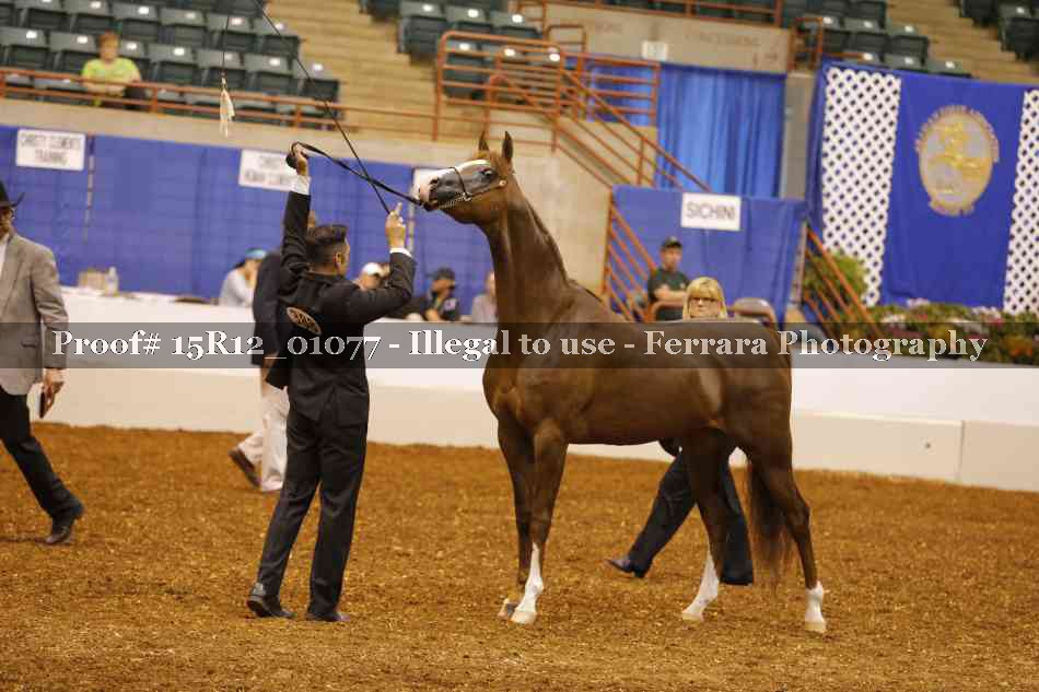 Proof 15R12_01077