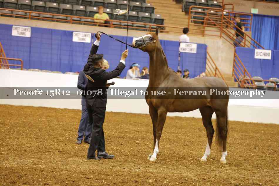 Proof 15R12_01078