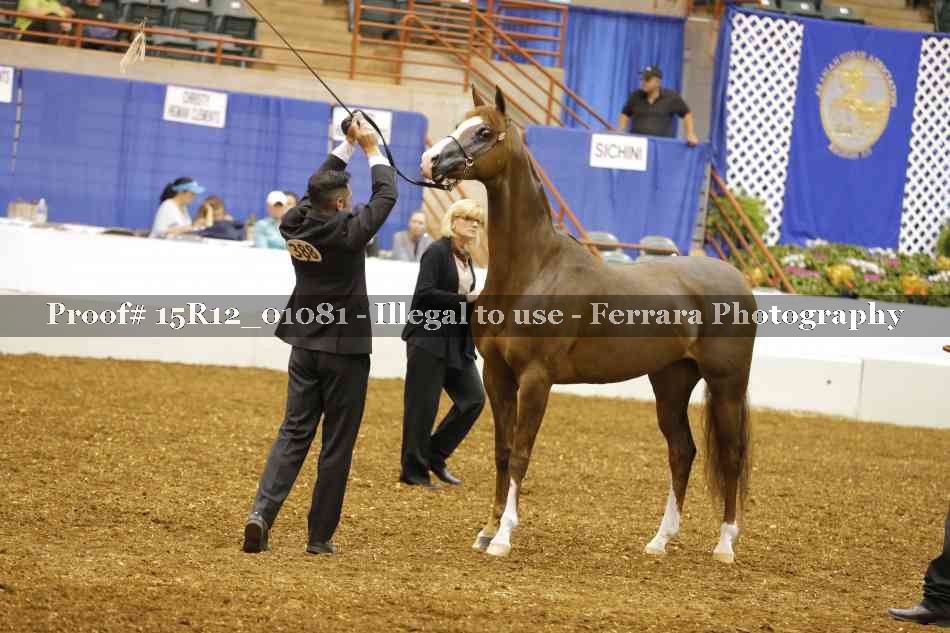Proof 15R12_01081