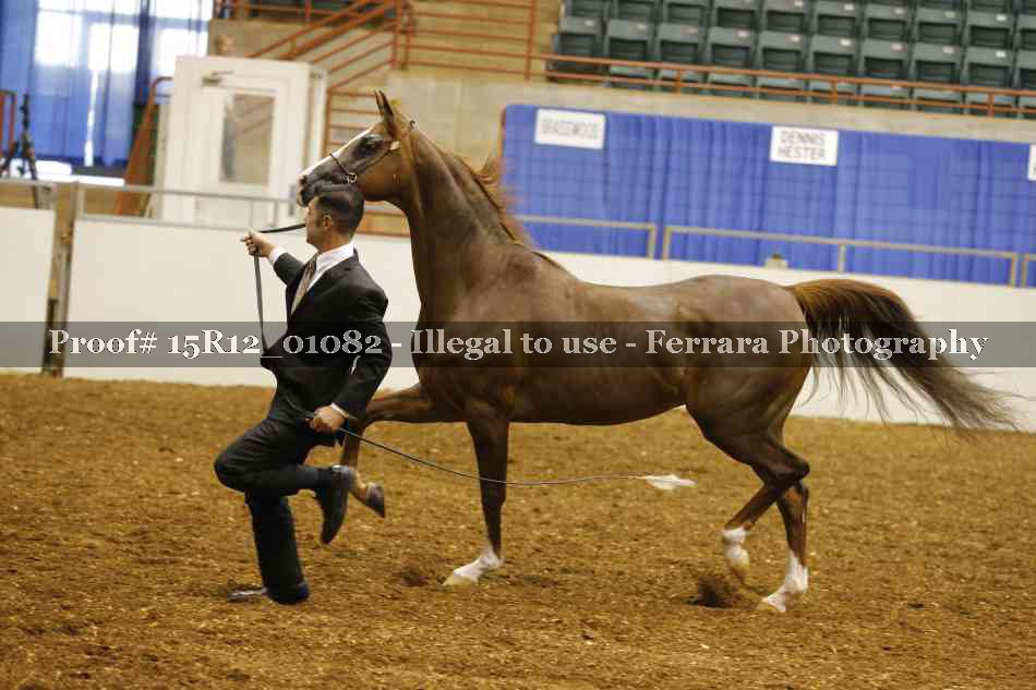 Proof 15R12_01082
