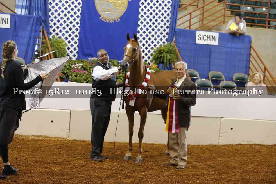 Proof 15R12_01083