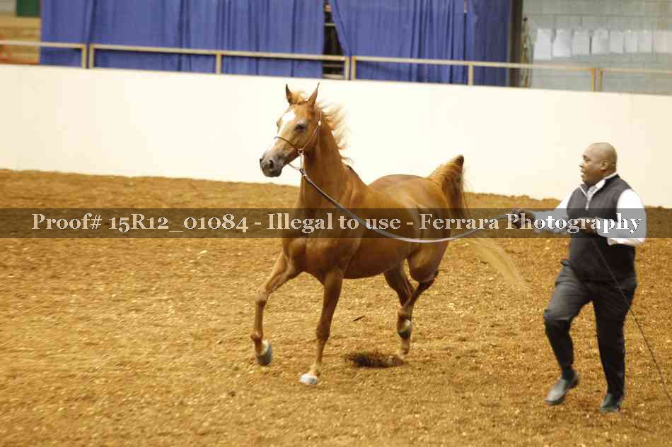 Proof 15R12_01084