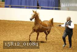 15R12_01084 proof