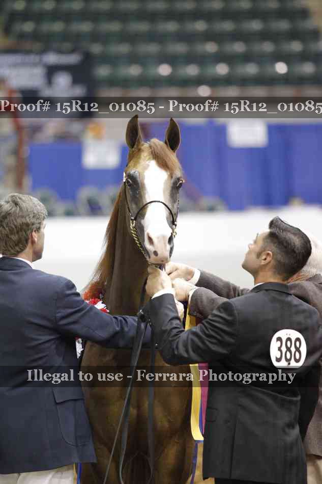 Proof 15R12_01085