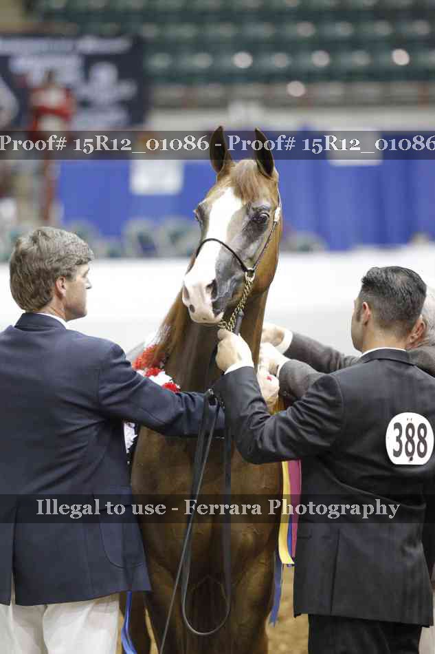 Proof 15R12_01086