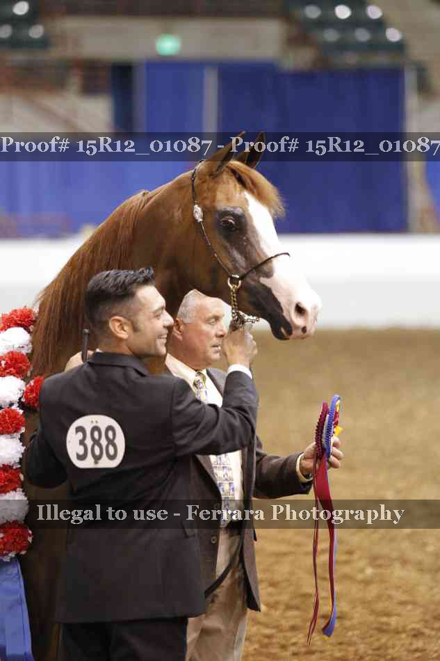 Proof 15R12_01087