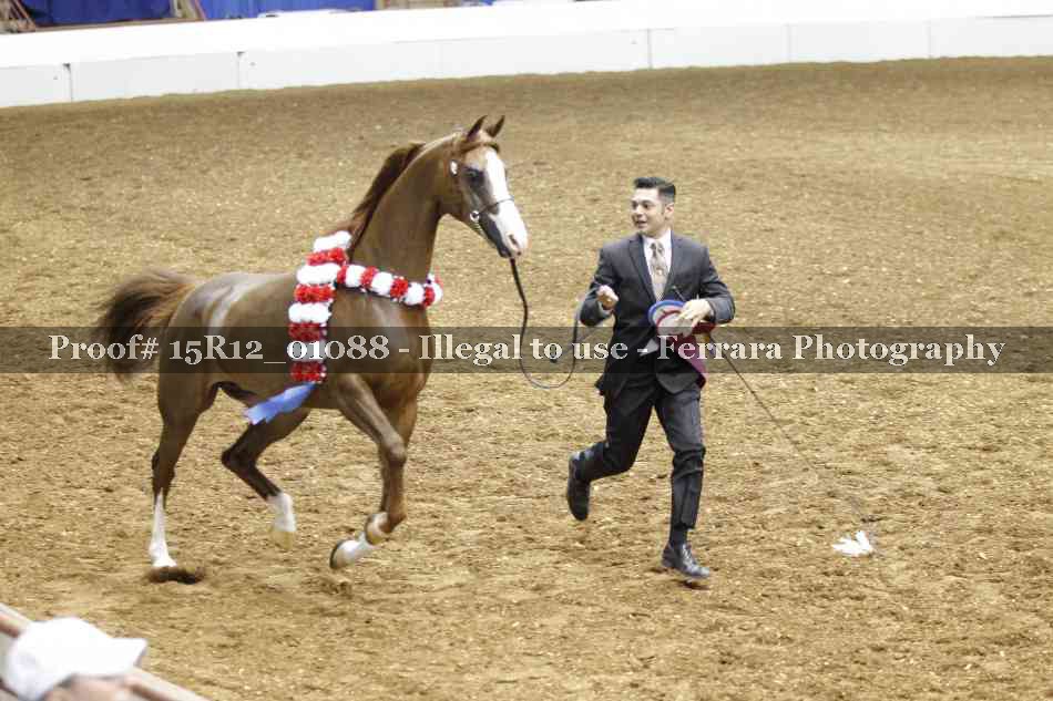 Proof 15R12_01088