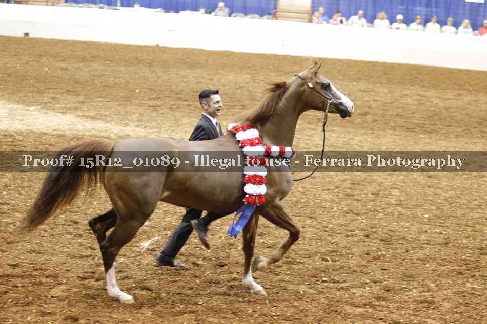 Proof 15R12_01089