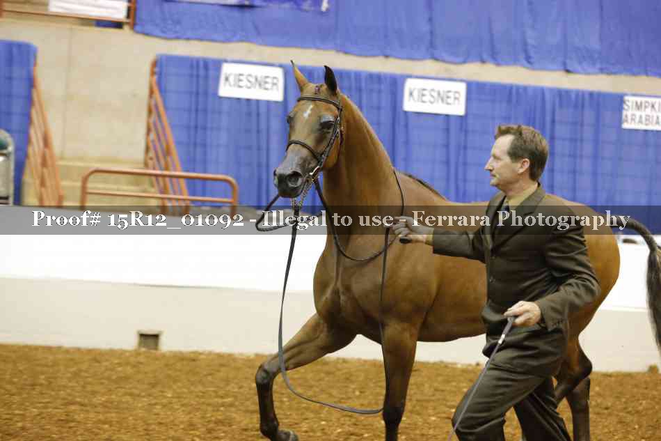 Proof 15R12_01092