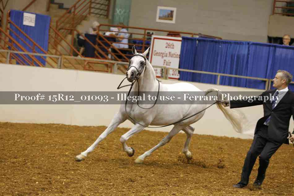 Proof 15R12_01093