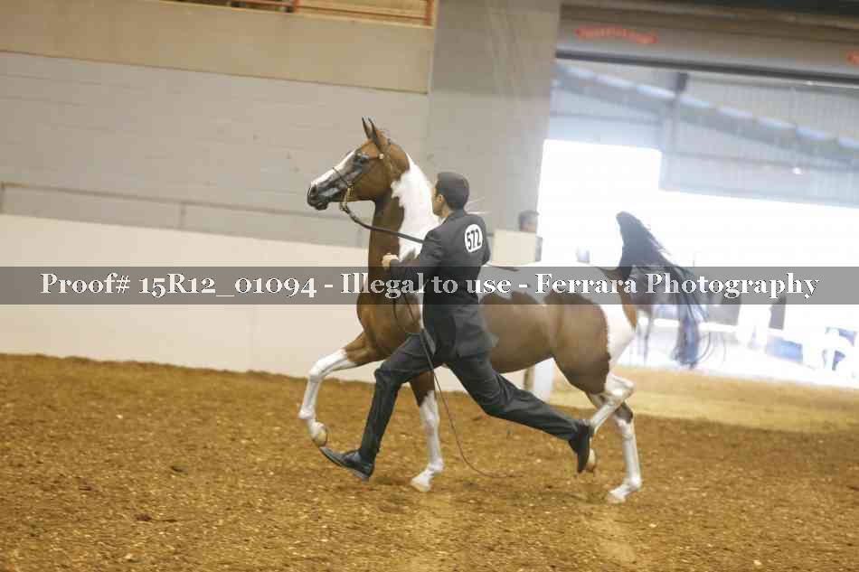 Proof 15R12_01094