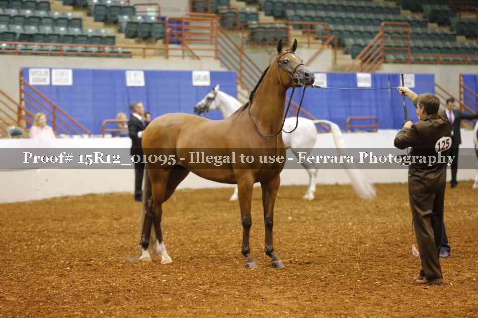 Proof 15R12_01095