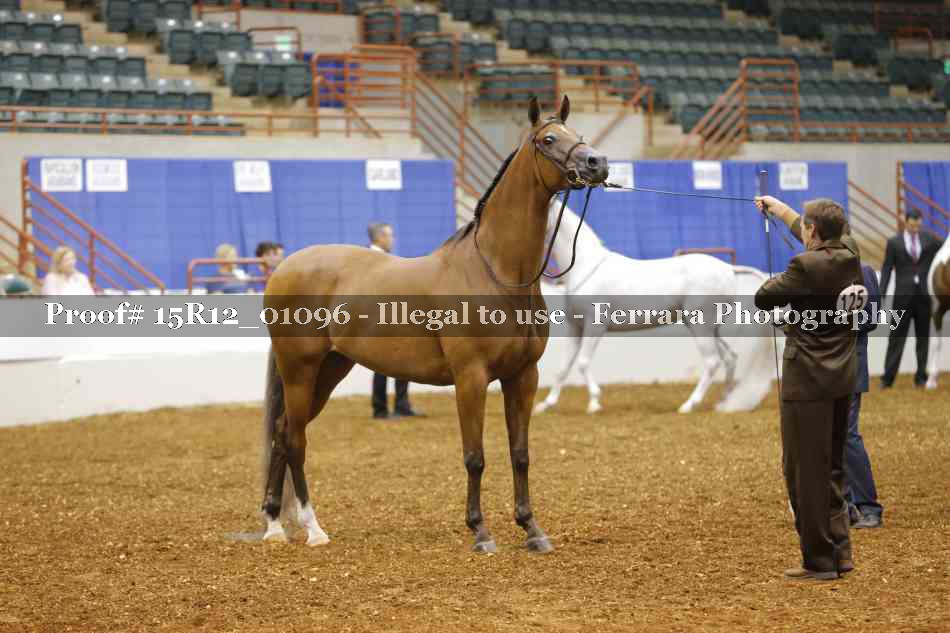 Proof 15R12_01096