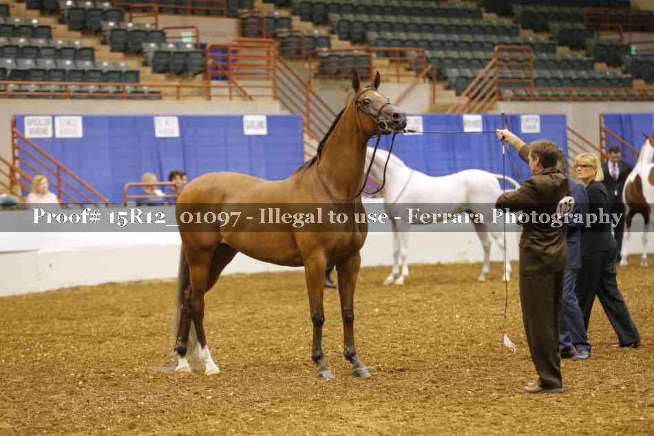Proof 15R12_01097