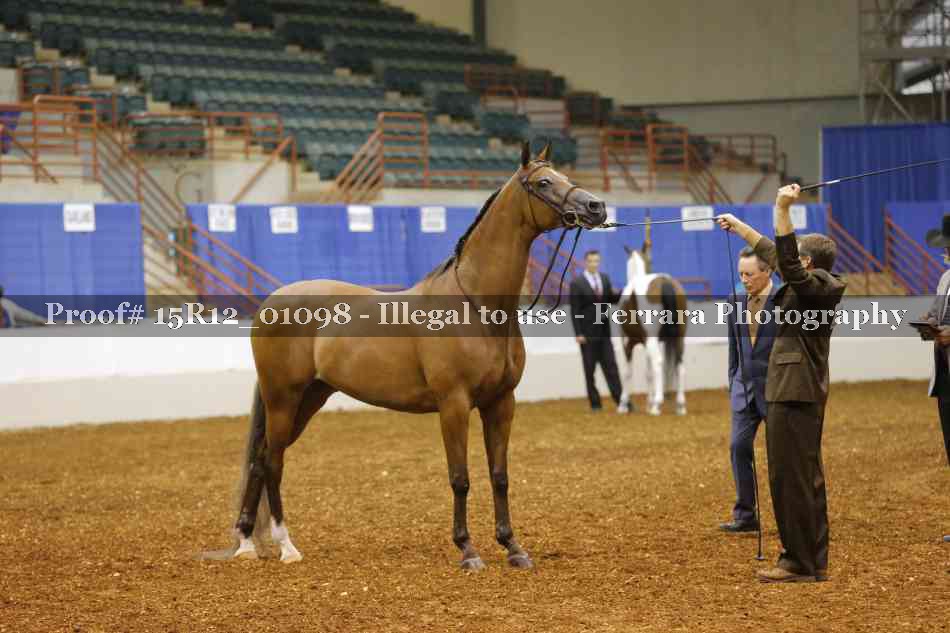 Proof 15R12_01098