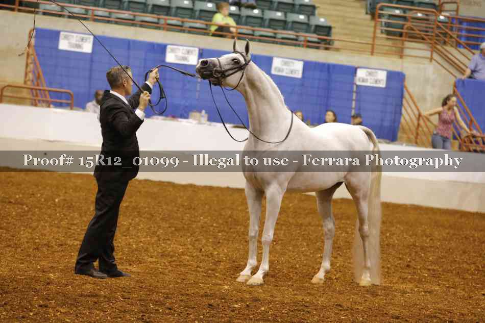 Proof 15R12_01099