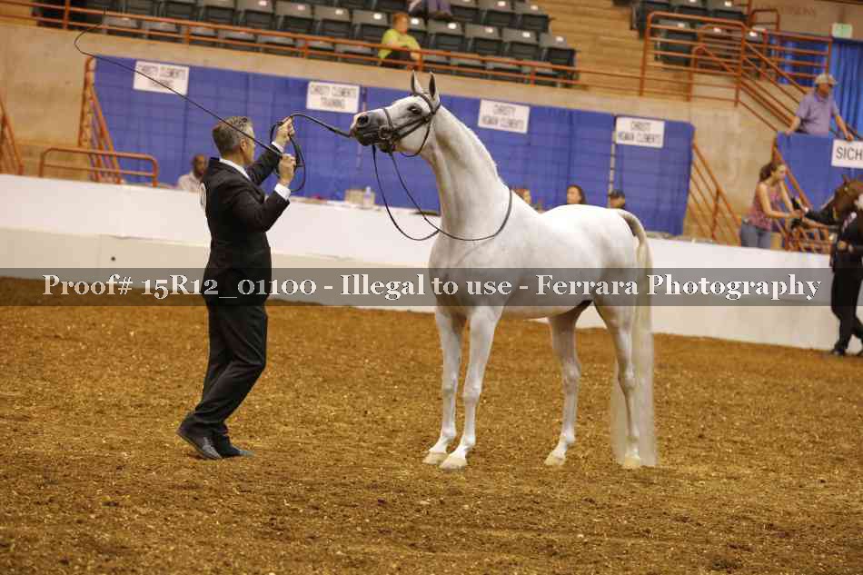 Proof 15R12_01100