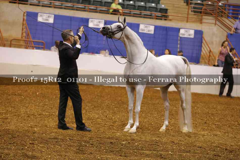 Proof 15R12_01101