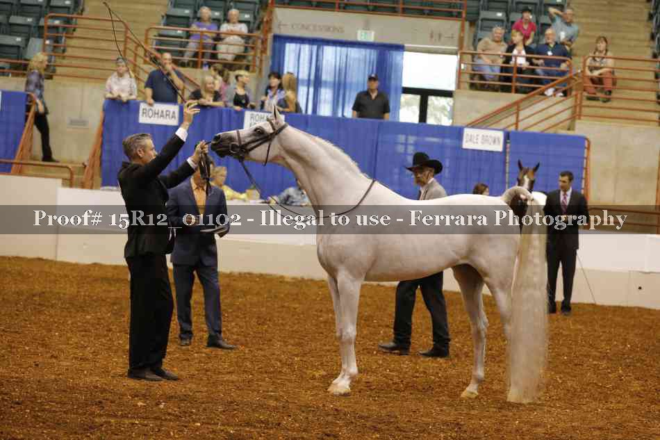 Proof 15R12_01102