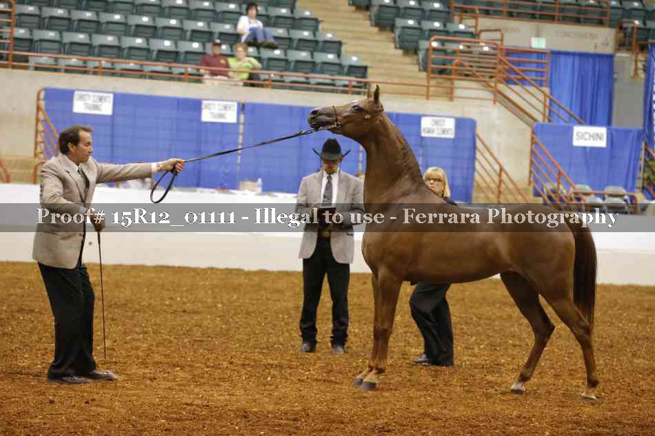 Proof 15R12_01111