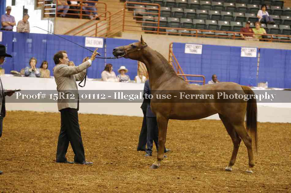 Proof 15R12_01112