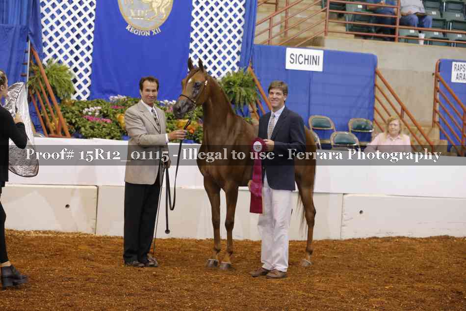 Proof 15R12_01115